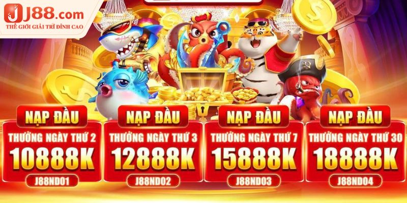 Chương trình nạp đầu J88