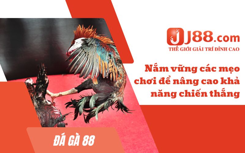 Nắm vững các mẹo chơi để nâng cao khả năng chiến thắng